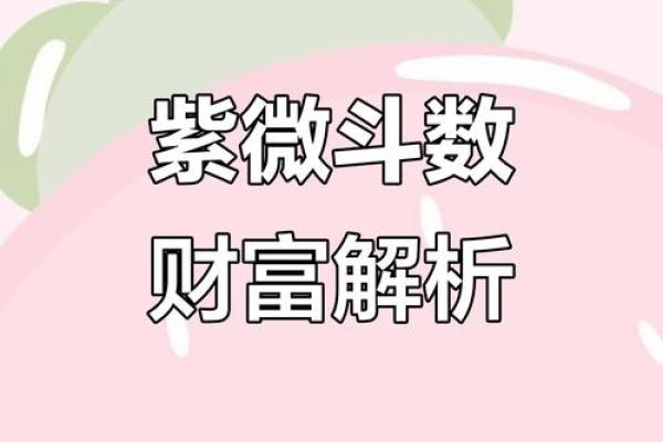 紫薇斗数看财气