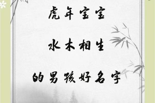 2019年处暑出生缺木男孩名字赏析姓名 2019年处暑出生缺木男孩名字赏析姓名