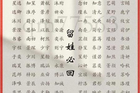 高分取名-2024年元旦节出生的宝宝八字起名字