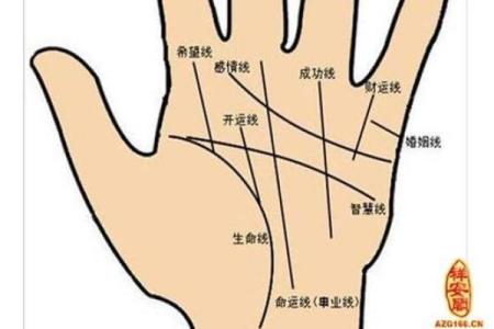 看手相算命：第二课 婚姻感情