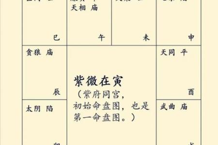 紫薇斗数婚姻测算