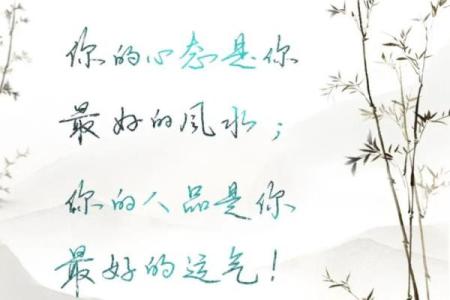 最大的风水是人心，不是风水养人，而是人养风水！
