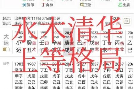 八字格局中上什么意思