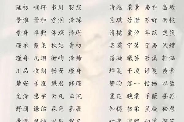 2019年3月16号巳时出生的男孩要怎么起名字姓名