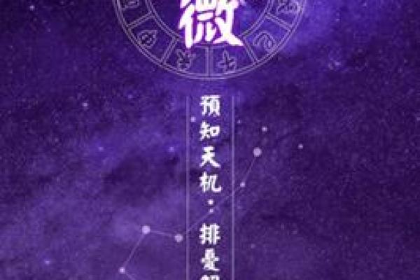 紫薇斗数698元