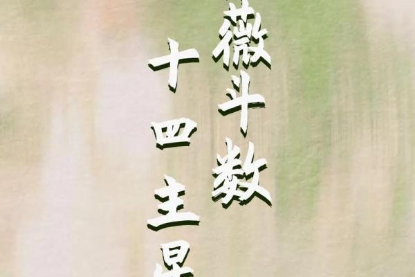 紫薇斗数元贞利