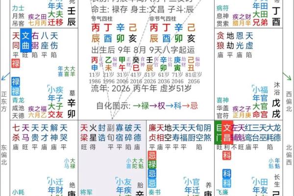 紫薇斗数看命运
