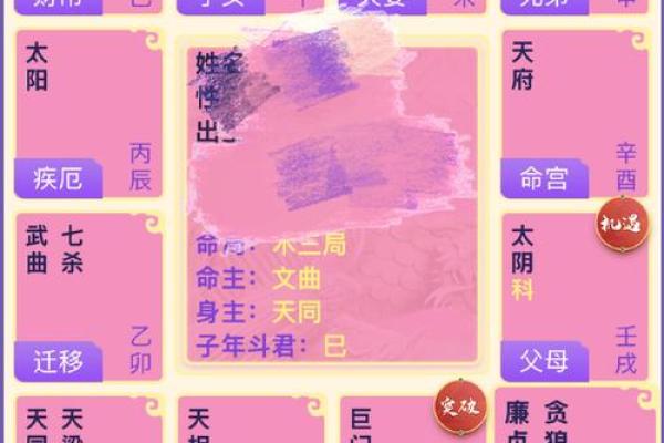 灵动紫薇斗数排盘