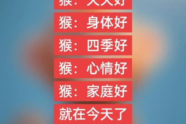 属猴生辰八字