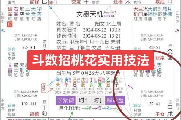 紫微斗数司法 紫微斗数怎么看官司？