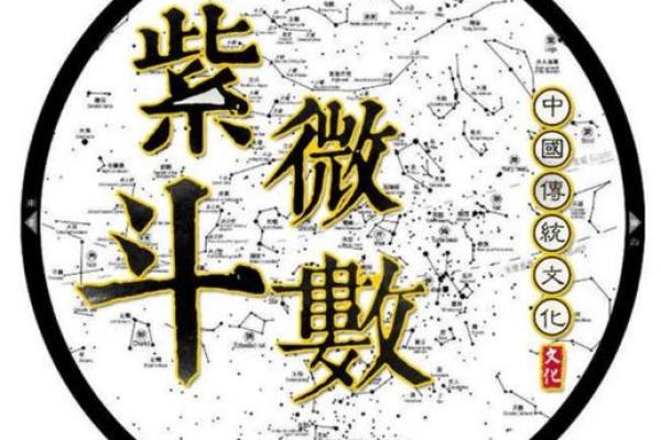 杨紫紫薇斗数