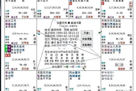 紫薇斗数流年事业运势