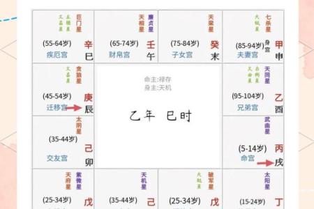 灵动紫薇斗数排盘