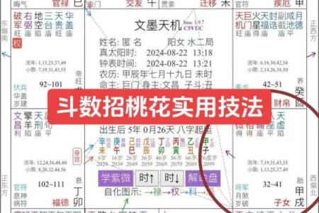 紫微斗数司法 紫微斗数怎么看官司？