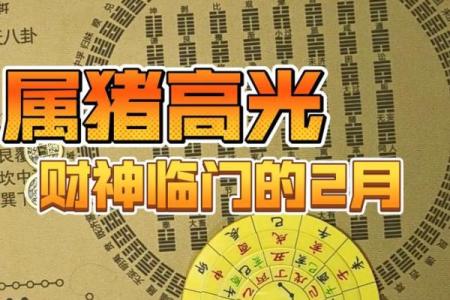 属猪算命,属猪人运程
