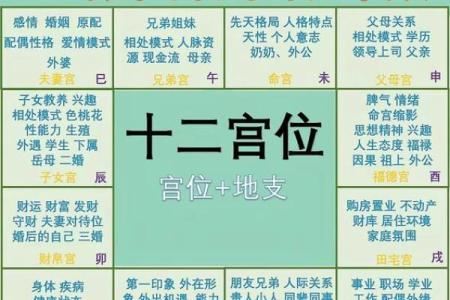 紫薇斗数星盘预测