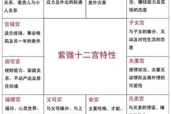 元贞紫薇斗数