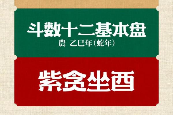 慧心斋紫薇斗数