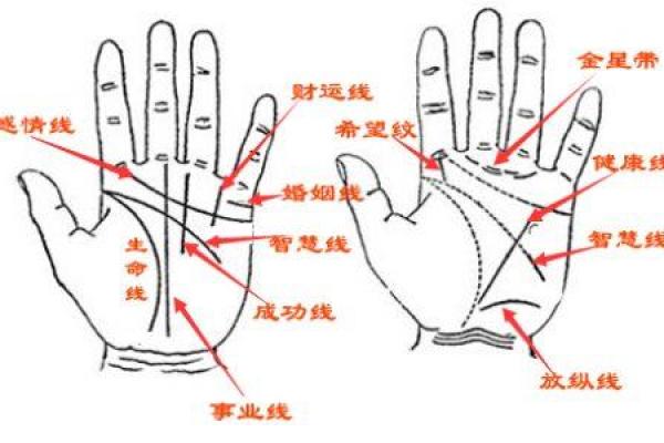 罕见的掌纹手相算命和图解