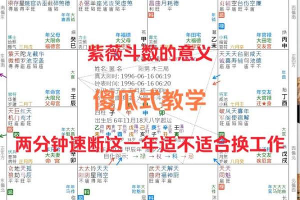 紫薇斗数适合做什么行业