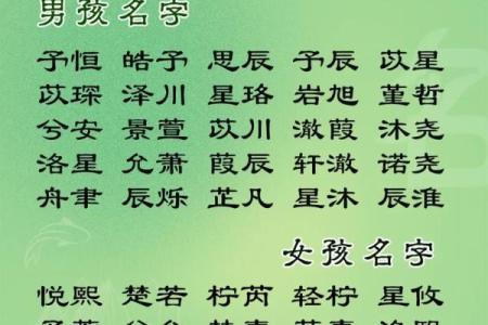 2019年3月20号申时出生的男孩起名方法姓名