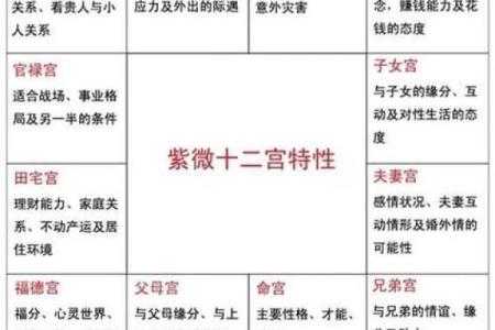 元贞紫薇斗数