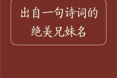 双胞胎男孩的名字和方法都有哪些-姓名学-华易网姓名