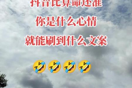 算命人说的话你信不信