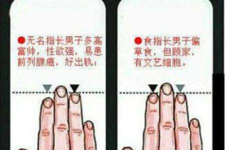 手指算命，手指长短判断一个人的个性