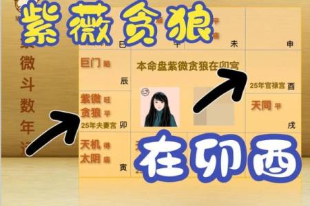 紫薇斗数紫薇落疾厄宫