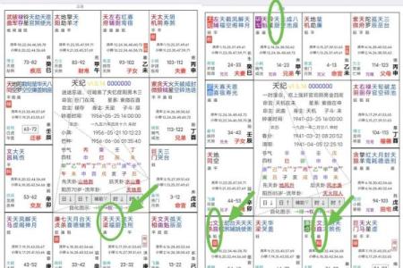 紫微斗数术语解释之：对星