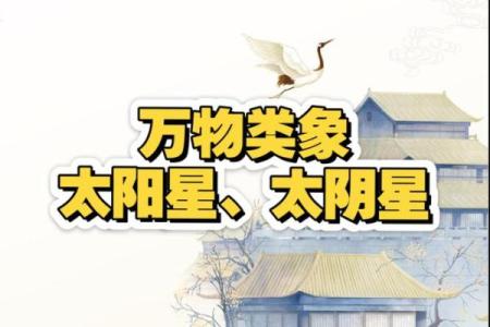 怎么判断八字里的太阴星和太阳星