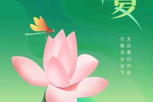 生在立夏后八字， 财运兴旺逢凶化吉