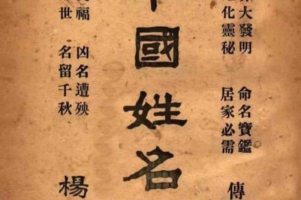 姓井的名人-姓名学-华易算命网姓名