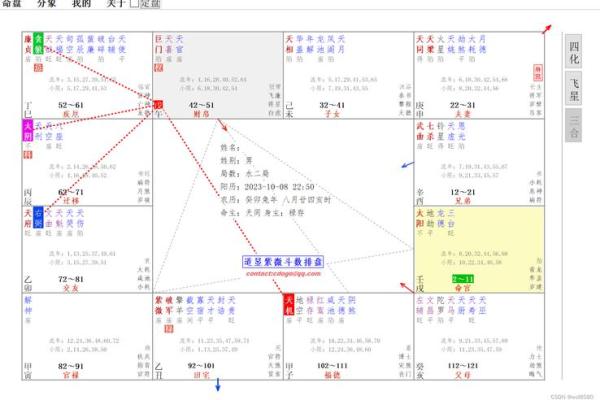 免费的紫微斗数排盘 免费紫微斗数排盘及含义？