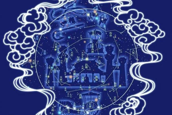 紫微斗数财政 紫微斗数里面的财星？