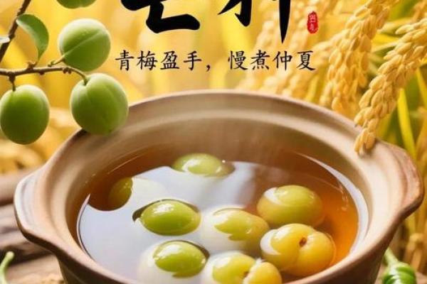 芒种前出生好还是芒种后 2024年芒种出生人的八字