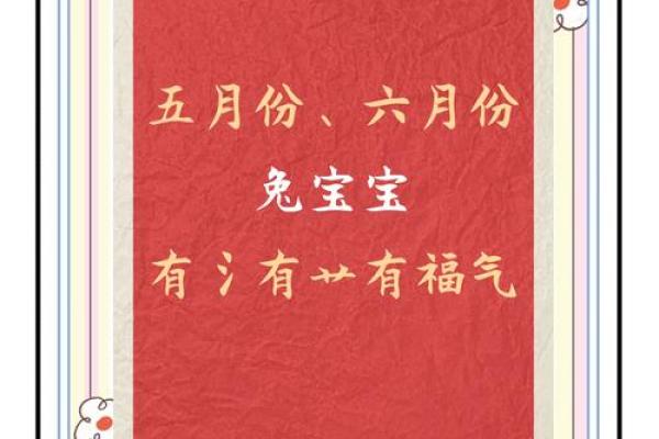 兔宝宝生辰八字