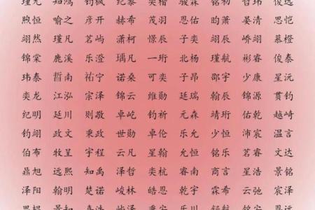 2019年6月1号寅时出生的男孩起名方法姓名