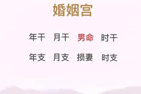 今天八字