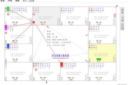 免费的紫微斗数排盘 免费紫微斗数排盘及含义？