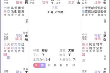 紫微斗数大限紫薇天相