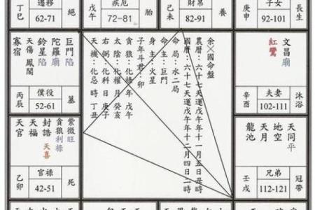 紫薇斗数多才多艺怎么看