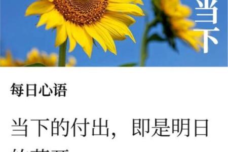 【神准测试】阻碍你事业成功的障碍是什么？