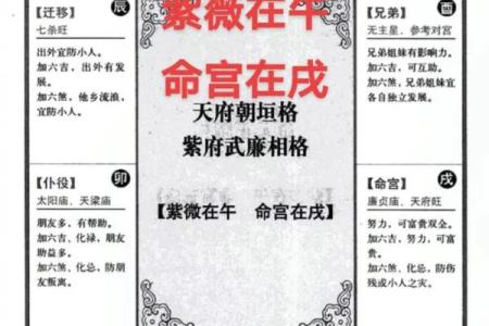 紫薇斗数女命紫薇