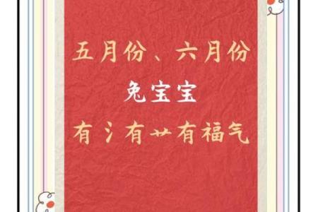 兔宝宝生辰八字
