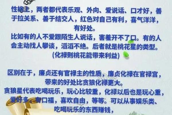 紫薇斗数解读，廉贞贪狼性格解读