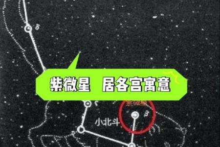紫薇好运主星：无须过度规划目标的紫微主星