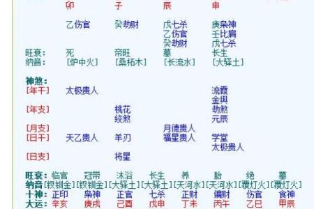 紫薇斗数中乾造