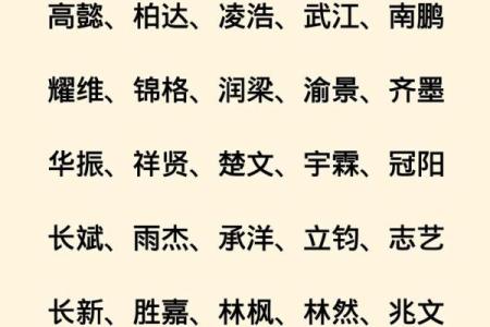 2019年6月21号子时出生的男孩应该起什么样的名字姓名